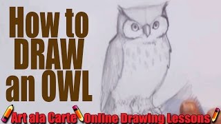 How to draw an Owl [upl. by Kapeed]