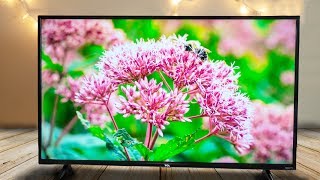 TCL 43 Inch 4K Roku TV Review [upl. by Ambrosia]