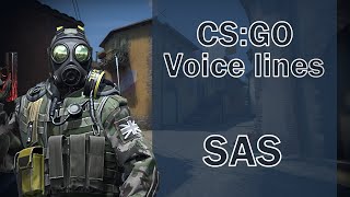 CSGO Agent Voice Lines SAS [upl. by Airret966]