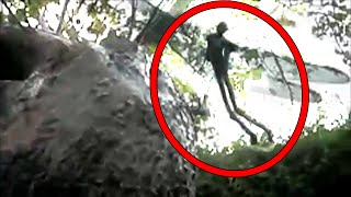 5 Mysterious Creatures Caught on Camera [upl. by Kcitrap]