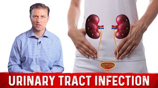 Best Home Remedy for Urinary Tract Infection UTI – Dr Berg [upl. by Dave887]