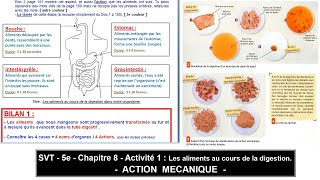 SVT  5e  Chapitre 8  Activité 1  Aliments au cours de la digestion [upl. by Rhiana]