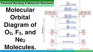 Molecular Orbital Diagram of O2 F2 and Ne2 Molecules [upl. by Michaella]