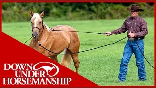 Clinton Anderson Training a Rescue Horse Part 1  Downunder Horsemanship [upl. by Naillimixam]