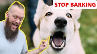 How to Train Your Dog to STOP BARKING at EVERYTHING [upl. by Emmey]