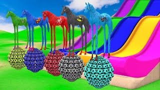 Red Horse Spiderman Crossing On Shark Bridge Spiders With Rainbow Horse Rescue Baby Animals Game [upl. by Aniratac930]