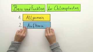 Chloroplasten Aufbau und Funktion  Biologie  Botanik [upl. by Burney]