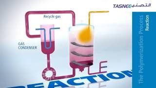 Polypropylene PP Production Process Overview [upl. by Wrennie]