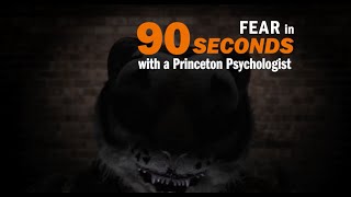 Fear explained in 90 seconds [upl. by Eiahpets38]