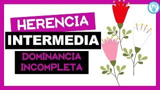 DOMINANCIA INCOMPLETA 🧐🌺 [upl. by Haneeja]