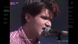 Lloyd Cole and the Commotions  Rattlesnakes Live 1984 [upl. by Hiamerej]