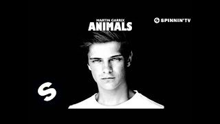 Martin Garrix  Animals Radio Edit [upl. by Htebasile298]