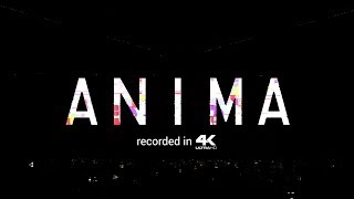 Martin Garrix Presents ANIMA Live  Amsterdam RAI 2018 [upl. by Oyam649]