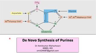 Purine Biosynthesis De Novo  Biochemistry  Molecular Biology [upl. by Selwin]