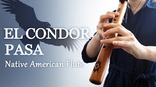 El Condor Pasa  Native American flute [upl. by Ennyletak]