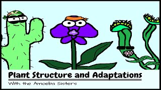 OLD VIDEO Plant Structure and Adaptations [upl. by Chae]