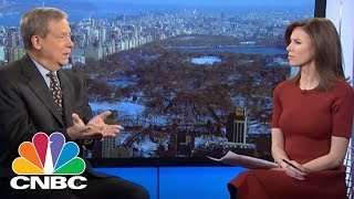 Legendary Investor Stanley Druckenmiller On The Stock Market Tax Reform And His Stock Picks  CNBC [upl. by Winnick]