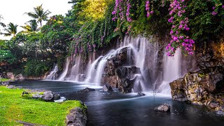 Relaxing Zen Music with Water Sounds • Peaceful Ambience for Spa Yoga and Relaxation [upl. by Xyla]