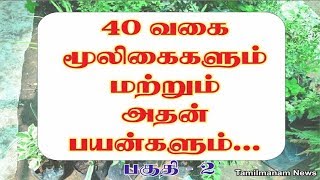 Herbs and their uses in tamil  40 herbal plants and their uses Part 2 [upl. by Geneva]