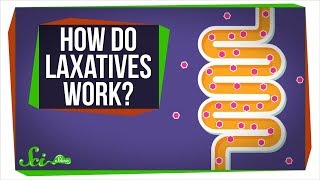 How Do Laxatives Work [upl. by Yerffoj]