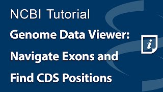 Genome Data Viewer Navigate Exons and Find CDS Positions [upl. by Atinihc]