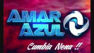 MIX AMAR AZUL  DJ Luigi  CumbiaS [upl. by Eignav271]