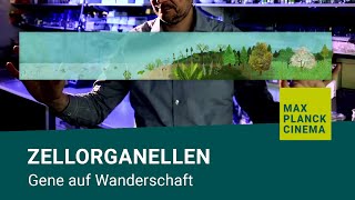 Zellorganellen  Gene auf Wanderschaft [upl. by Akedijn]