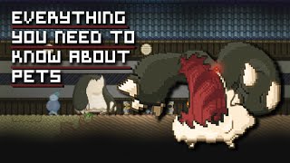 Starbound Tips  Everything you need to know about Pets [upl. by Yetta241]