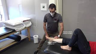 Manual Muscle Test for Ankle DorsiflexionInversion [upl. by Eidde]