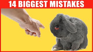 14 Common Mistakes Rabbit Owners Make [upl. by Burnham]