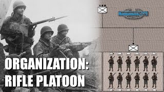 Organization of the WWII US Army Infantry Rifle Platoon [upl. by Plerre]