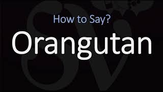 How to Pronounce Orangutan CORRECTLY [upl. by Sheri349]