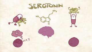 How Ketamine Treats Depression [upl. by Abrahams729]