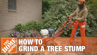 How To Grind A Tree Stump  The Home Depot [upl. by Ahsienek]