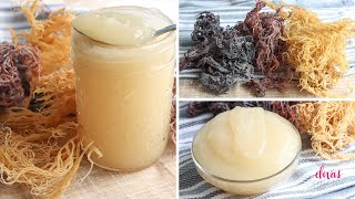 How To Make SEA MOSS GEL In 3 Easy Steps [upl. by Vincelette]