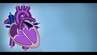 Fetal Circulation by L McCabe  OPENPediatrics [upl. by Tihor]