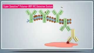 Immunohistochemistry IHC amp AntigenEpitope Protein Retrieval  Principle Technique and Protocol [upl. by Sato540]