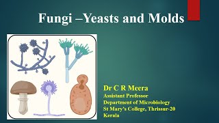 Fungi  Yeast and Molds  Dr C R Meera [upl. by Nasaj]