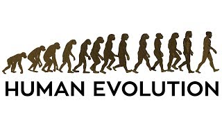 Human Evolution Animation [upl. by Orgel]