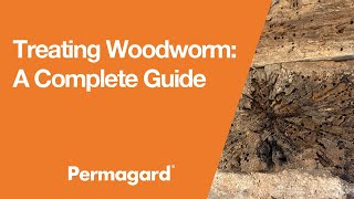 Treating Woodworm A Complete Guide [upl. by Stefanie]