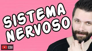 SISTEMA NERVOSO  FISIOLOGIA  Aula  Biologia com Samuel Cunha [upl. by Rehptosirhc157]