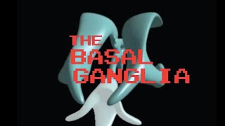 Neuroanatomy The Basal Ganglia [upl. by Aissak182]