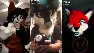 Furry TikTok Cringe [upl. by Oremor]