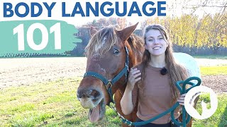 READING HORSE BODY LANGUAGE amp BEHAVIOR [upl. by Ibmab]