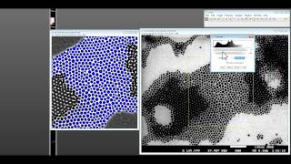 How to use ImageJ for nanoparticle size distribution analysis [upl. by Kind306]