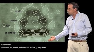 Arthur Horwich YaleHHMI Part 3 Where are proteins folded by chaperonins [upl. by Risay]