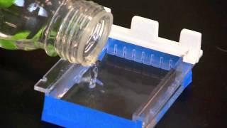 Casting an Agarose Gel [upl. by Boucher]