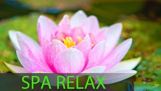 6 Hour Super Relaxing Spa Music Meditation Music Massage Music Relaxation Music Soothing ☯516 [upl. by Sesom77]