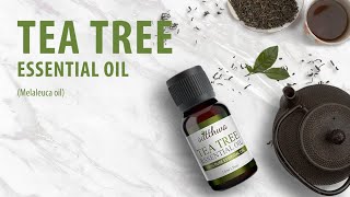 Satthwa Tea Tree Essential Oil  Melaleuca Oil [upl. by Bolt]