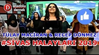 Tülay Maciran  Recep Dönmez  Sivas Halayları [upl. by Benjamin]